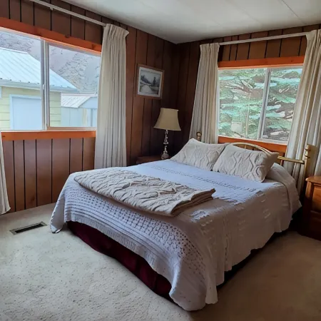 On Salmon River, quiet, private, house, where you can still see the milky way,