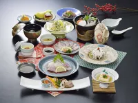 Nogawaya Ryokan - 3 étoiles