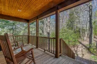 Cozy Mountain Top Cabin 13 Acres Near Dupont State Forest-Pet Friendly-Wifi- EV - 샬레 호텔