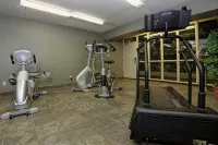 Victoria Inn Hotel & Convention Centre Brandon - Fitnessstudio