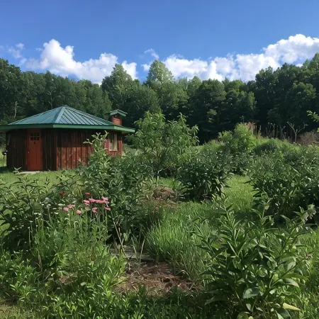 Cozy, Artistic Retreat Surrounded By Waterfalls, Orchards And Gardens