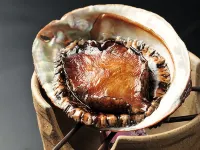 Kashikojima Grand Hotel - Bữa sáng