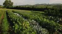 La Ferme du Chapi Hotels in Bully