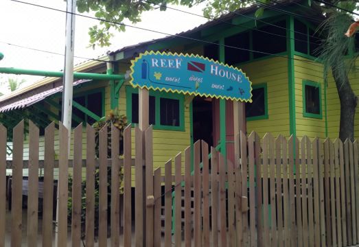 리프 하우스 추억