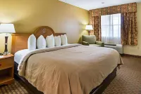 Quality Inn Near Casinos and Convention Center Hotels in Bossier City