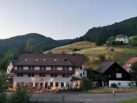 Hotel Sonne Hotels in Oberwolfach