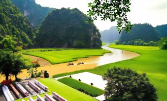 Tam Coc Rice Fields Homestay