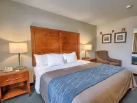 Bluffton Inn & Suites Hotels in Bluffton