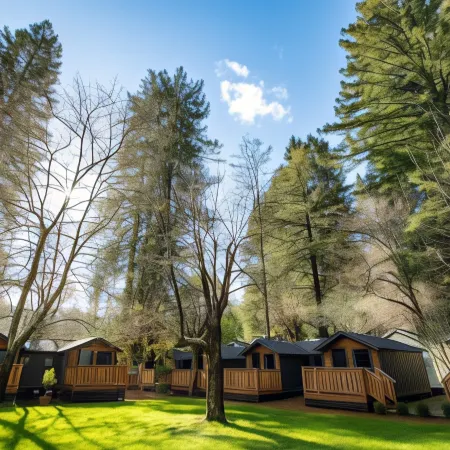 Dawn Ranch