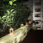 La Giara Rooms