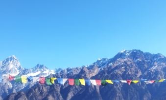 Grand Auli Camp