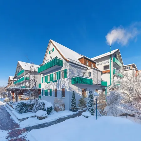 Kneipp- Und Wellvitalhotel Edelweiss