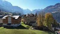 Historic Hotel Falken