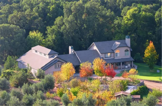 The Eden House Vineyard