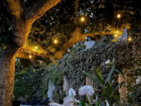 Cit'Hôtel le Louvre Orange Hotels in Orange