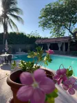 B&B El Litoral Hotels in San Carlos