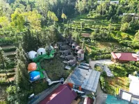 Plum Homestay Hotel di Đồng Văn