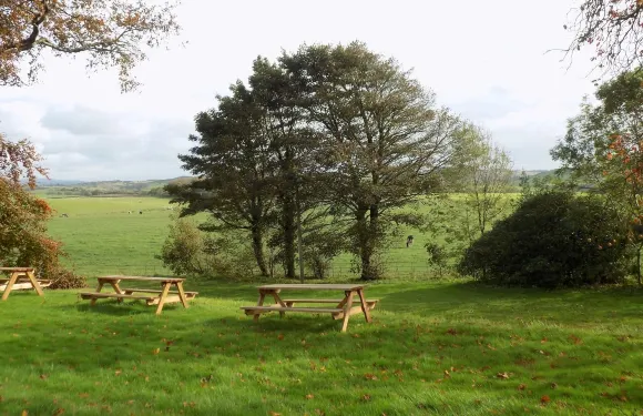 恩內斯派之家酒店