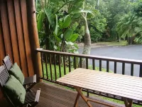 Atherton Blue Gum - Wifi