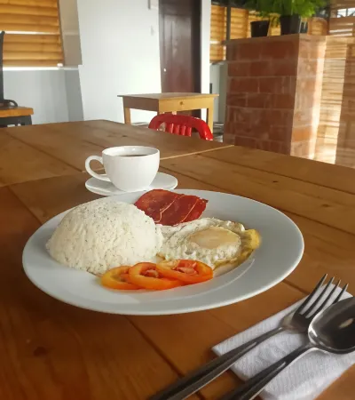 Aliria Bed and Breakfast Отели в г. Тагбиларан