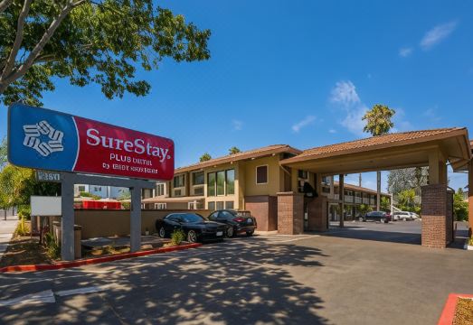 슈어스테이 플러스 호텔