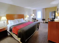 Comfort Inn & Suites Raphine - Lexington Near I-81 and I-64
