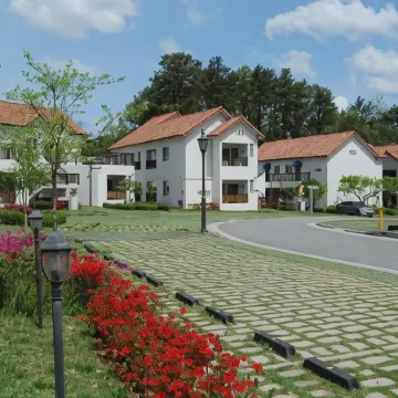 Meta Provence Pension, DamYang