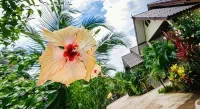 Suvimon Resort