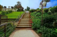 Año Nuevo en Reñaca