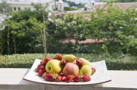 Hotel Villa Sarah - Desayuno