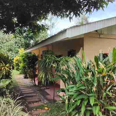 Room-serene Family Haven in Mambajao, Ph Hotel Exterior