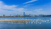 Ximan Hotel (Shanzhou District Government Wucaicheng Shopping Center)