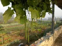 Mengyin Fuquan Mountain Villa Farmhouse - إقامة في المزرعة