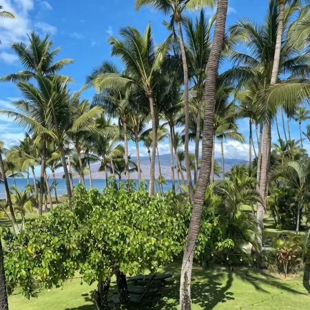 1Br/1BA Beachfront • Great Location • July 2026-Sept 2026 Discounted!