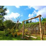 Pernjai Homestay P3 P4 P5