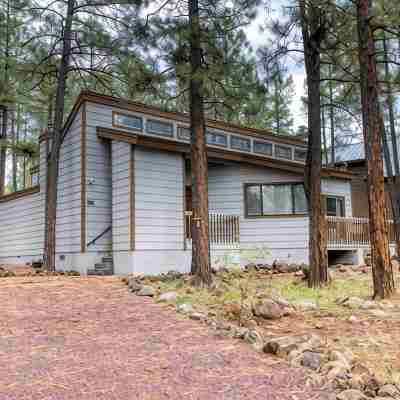 Black Bear Retreat - Wonderful 3 bed cabin in Pinetop with a fenced yard & Wifi. Hotel Exterior