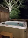 Walk to Everything! Large studio with hot tub in Black Mountain - Apartments