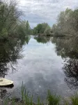 Charming cabin by a lake in the heart of the Landes d'Armagnac forest - Hytter