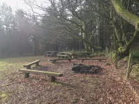 Buckstone Log Cabin with Private Grounds Nestled Into The Natural Woodland - Homestays