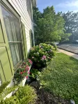 Elegant Retreat With Pool, Screened Porch Just Steps From Shops, Dining & Fun!