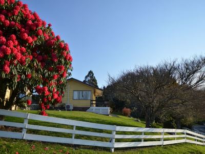 Waitomo Big Bird Retreat