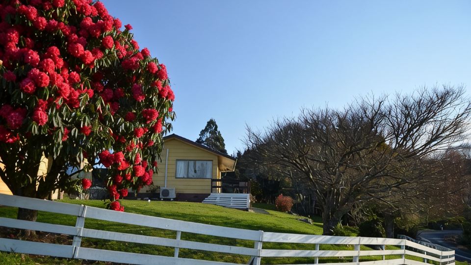 Waitomo Big Bird Retreat