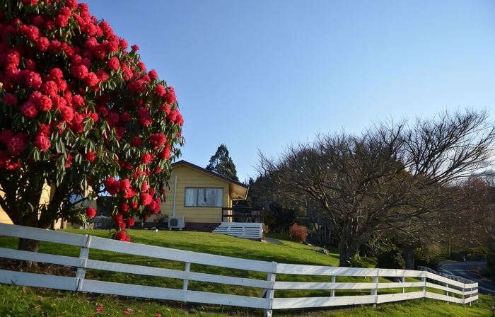 Waitomo Big Bird Retreat