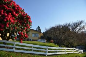 Waitomo Big Bird Retreat
