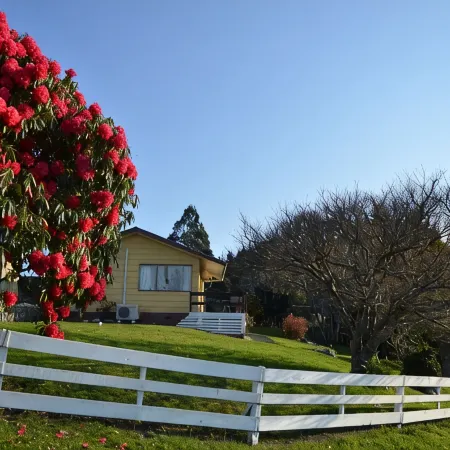 Waitomo Big Bird Retreat