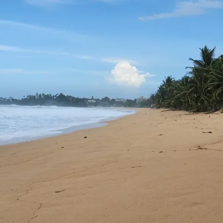 Renovated 3 bedroom 2 bathroom just 2 blocks to beautiful  beaches !