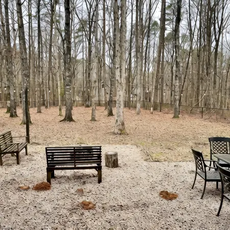 Blade Bay - Beautiful Remodeled cabin, close to everything, pet friendly!