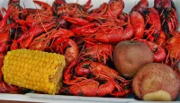 Beach House Shady Oaks Gulfport Ocean Views Walk to the Beach, Fire pit, Grill - ติดทะเล