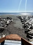 Oceanfront Beach House on Camano Island: Gone Coastal Beach House.