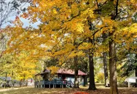 Summer Lake Fun at Cozy Blue Cabin – Prime Fishing & Boating on Lake Barkley!